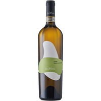 Floris Fiano di Avellino DOCG trocken - Urciuolo Vini