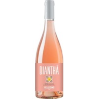 Dianthà Rosé