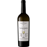 Catarratto