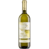 Bianco Terre Di Olfino Garda Colli Mantovani DOC trocken - Gozzi Azienda Agricola