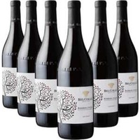 Barbera d'Alba Doc Ape Reale 6 Flaschen