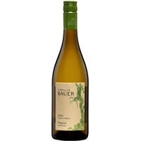 Grüner Veltliner - Juche BIO - Weingut Familie Bauer