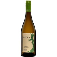 Grüner Veltliner Terrassen BIO - Weingut Familie Bauer
