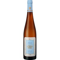 Kiedrich Turmberg Riesling Erste Lage, Trocken, Rheingau, Rheingau, 2023, Weißwein