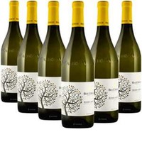 Roero Arneis Docg 6 Flaschen