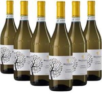 Favorita Doc Langhe 6 Flaschen