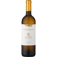 Elena Walch Pinot Grigio Vigna Castel Ringberg Alto Adige DOC