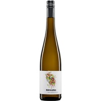 Sauvignon Blanc trocken - Weingut Daniel Mattern