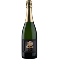 Spumante Metodo Classico Terre Del Colleoni DOC brut - Cantina Sociale Bergamasca