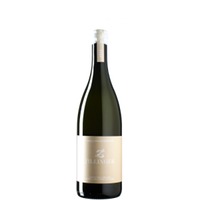 Grüner Veltliner HirschenSUPERreyn