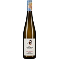 Grüner Veltliner Napoleonstiege Kremstal