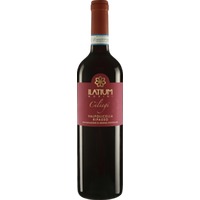 Ilatium Morini Campo dei Ciliegi Valpolicella Ripasso Superiore