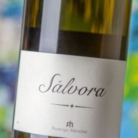Sálvora
