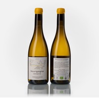 Bourgogne Tonnerre blanc