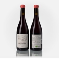 Bourgogne Epineuil rouge Côte de Grisey