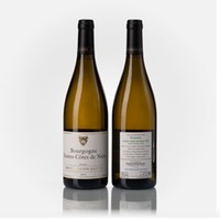 Bourgogne Hautes-Côtes de Nuits blanc