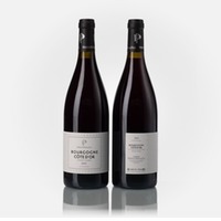 Bourgogne Côte d'Or rouge