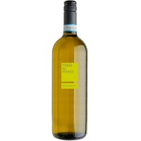 Pinot Grigio del Veneto DOC DV