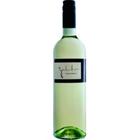 Grüner Veltliner trocken - Weingut Galumbo