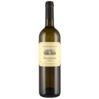 Sauvignon Latium IGT