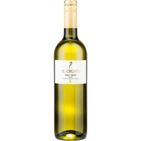Pinot Grigio Veneto IGT - Il Cigno