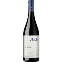 Blaufränkisch Ungerberg trocken - Weingut Juris