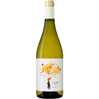 Coca i Fitó d'Or Terra Alta DO trocken - Coca i Fitó