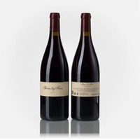 Shiraz Geelong