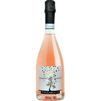 Chiaretto di Bardolino Spumante - Villabella