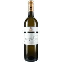 Grüner Veltliner Weinviertel DAC - Weingut Kurz