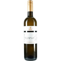 Rheinriesling - Weingut Kurz