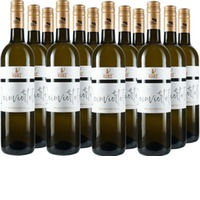 Grüner Veltliner Paket trocken - Weingut Kurz