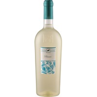 Ulisse Bianco Premium, Terre di Chieti IGP, Abruzzen, 2024, Weißwein