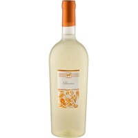 Ulisse Pecorino Premium, Terre di Chieti IGP, Abruzzen, 2024, Weißwein