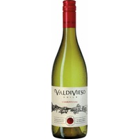Chardonnay Valle Central - Chile