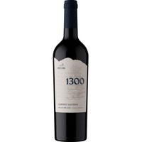 Andeluna Cellars 1300 Cabernet Sauvignon, Valle de Uco, Mendoza, Mendoza, 2023, Rotwein