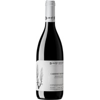Cabernet Sauvignon Venezia Giulia IGP trocken - Berto & Fiorella Baccichetto