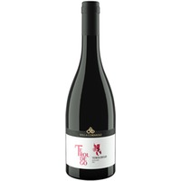 Teroldego Rotaliano DOC trocken - Villa Corniole