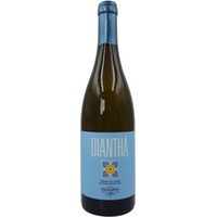 Dianthà Bianco