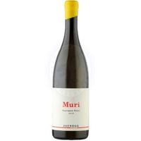 Sauvignon Blanc Muri Jaunegg
