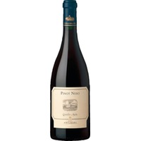 Pinot Nero della Sala Umbria IGT