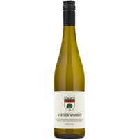 Riesling Gutswein trocken Bio - Weingut Werther-Windisch