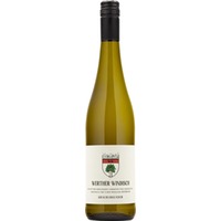 Grauburgunder Gutswein trocken Bio - Weingut Werther-Windisch