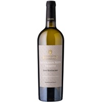 Sauvignon Nepis Sant'Eustachio Veneto IGP trocken - Giusti Wine
