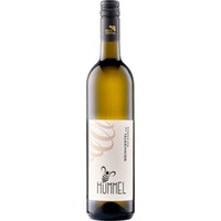 Grüner Veltliner Weinviertel DAC Ried Altenberg trocken - Weingut Hummel Weinviertel