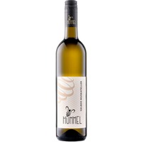 Gelber Muskateller trocken - Weingut Hummel Weinviertel