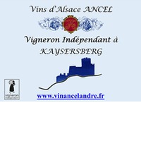AOC Alsace Pinot Blanc trocken - Famille Ancel