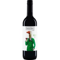 Corte del Pozzo Merlot IGT 2022/2024 Fasoli Biowein