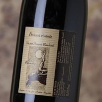 La Grand Cléré Boisson Vivante Perrontonic