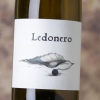 Barranco Oscuro Ledonero